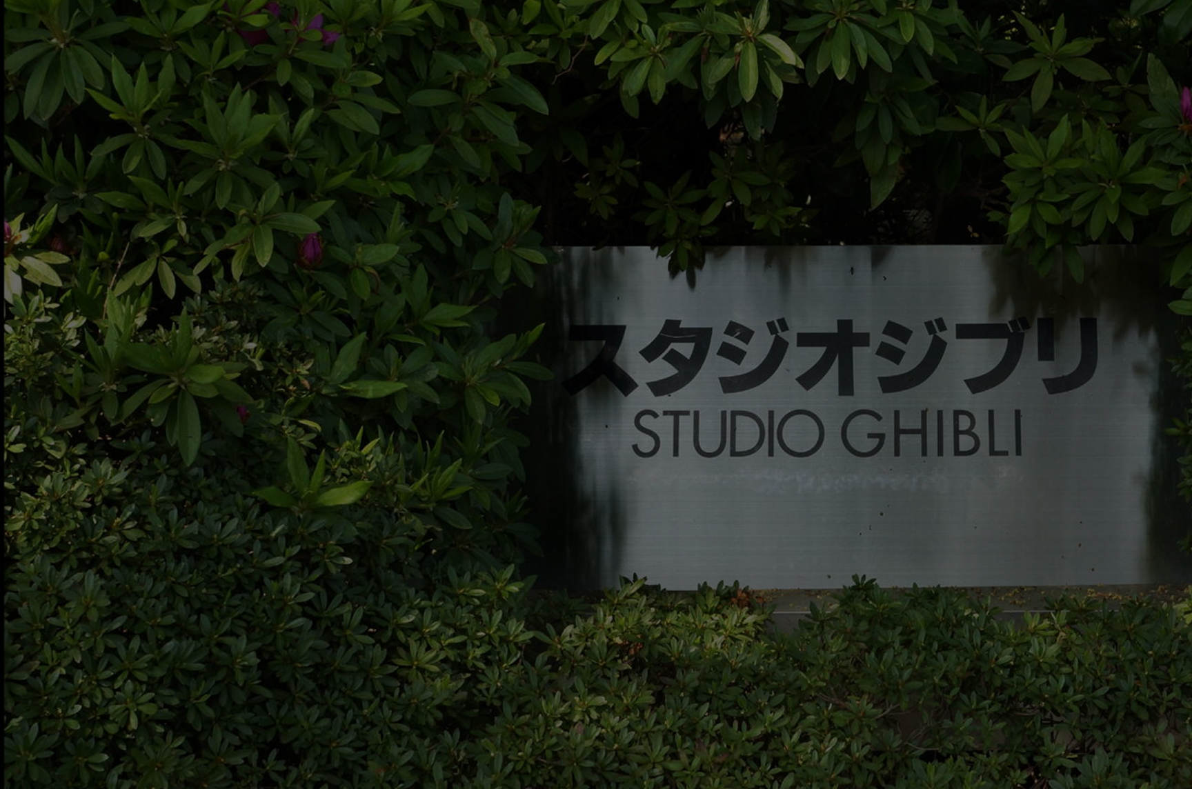 Studio Ghibli History